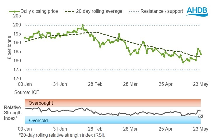 UK feed wheat graph 27 05 2025.jpg